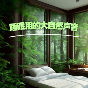 睡眠用的大自然声音 – 帮助你入睡的舒缓大自然声音、水声、鸟儿歌曲