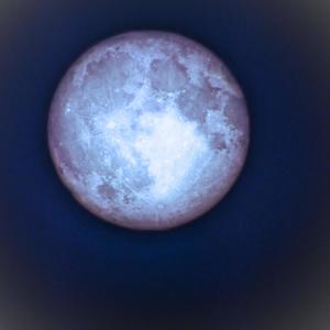 Moonlight (Explicit)