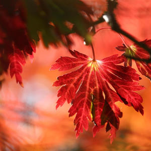 Autumn’s Gentle Chill