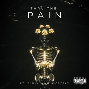 Thru The Pain (feat. CeeJay & Big Shawn) [Explicit]