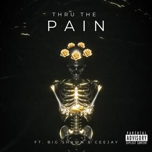 Thru The Pain (feat. CeeJay & Big Shawn) (Explicit)