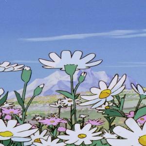 chasing cherry blossoms