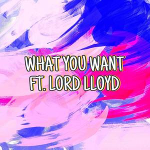 What You Want (feat. Lord Lloyd) (Radio Edit)