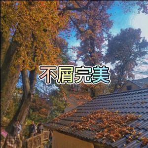 不屑完美