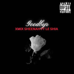 Goodbye (feat. Le Shia) (Explicit)
