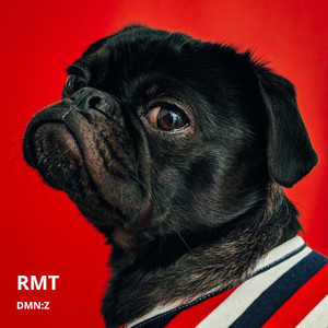 RMT (Extended Version)