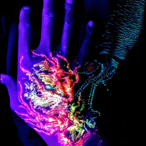 Firefly Squid (Arthur Robert Remix)