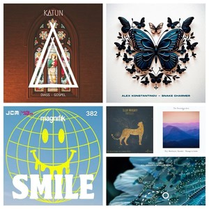 Gospel (Leslie JayCee remix)