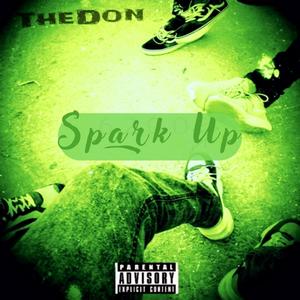 Spark Up (feat. The Don) [Explicit]