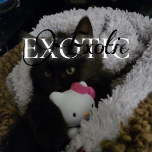 Exotic (Explicit)
