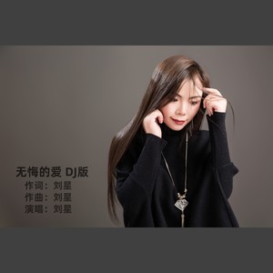 无悔的爱 DJ版