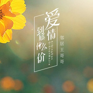 爱情到底什么价 (DJ版伴奏)