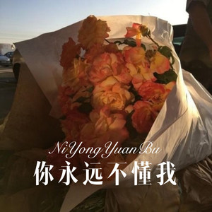 你永远不懂我 (Remix)