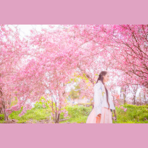 花枝春野 (COVER版)