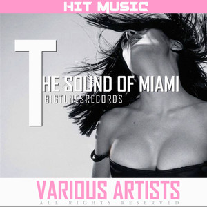 The Sound Of Miami