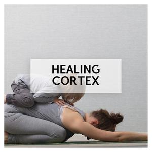 528 Hz The Sleeping Diaries (Original Mix)