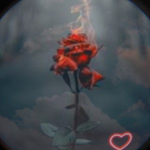 Gone (feat. Jaywoah & Sniperosse) (Explicit)