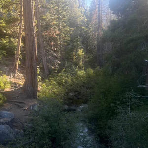 wasted (feat. raine's requiem) (Explicit)