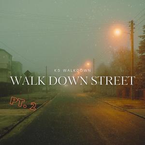 Walk Down Street 2 (Explicit)