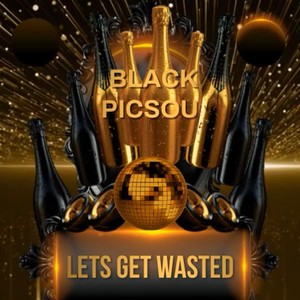 Lets get wasted