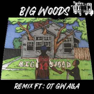 Big Woods (feat. OT Gwalla) (Remix|Explicit)