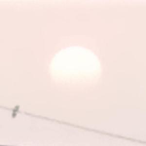 Mi Millon (feat. naian beats) (Explicit)