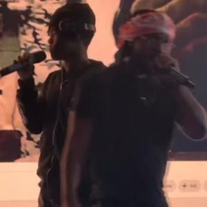 Tranquilizer Dart! (Innocent)