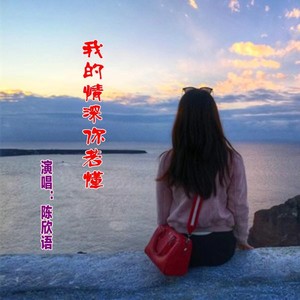 我的情深你若懂