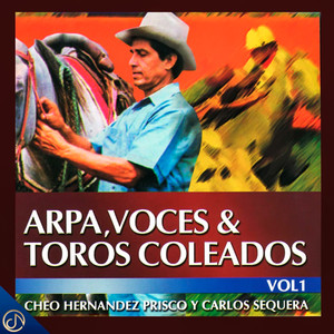 Recorrido por Bariro