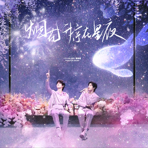 烟花升停在星夜