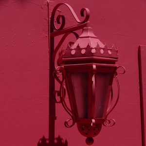 Feel The Love Tonight