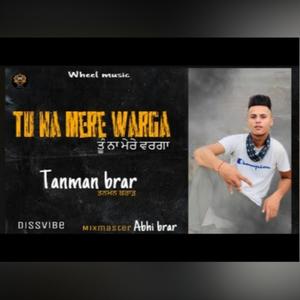 Tu Na Mere Warga (feat. Abhi Brar) [Explicit]