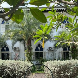 Mr. Adventure - We'll always have PARADICE (feat. AACHI) (JAPAN VERSION)