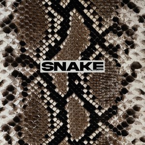 Snake (뱀中文填词版)