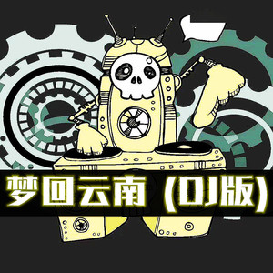 梦回云南 (DJ版)