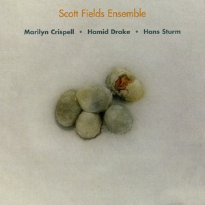 SCOTT FIELDS ENSEMBLE: Five Frozen Eggs