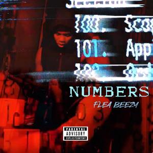 NUMBERS (Explicit)