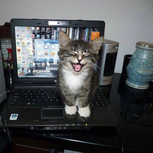 Cantgetenough (Explicit)