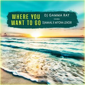 Where You Want To Go (feat. D.Jamaal & Miyona Lenoir) (Explicit)