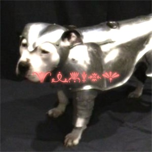 ENOUGH 1080 (Explicit)