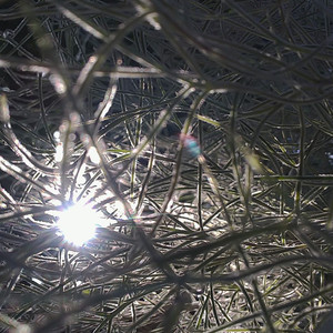 破壊とコスモス