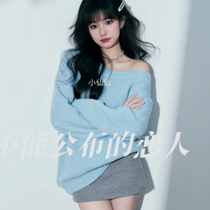 不能公布的恋人