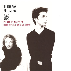 Furia Flamenca- Passionate And Soulful
