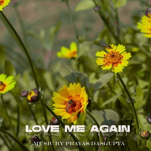 Love Me Again