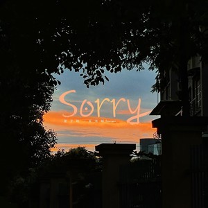 Sorry