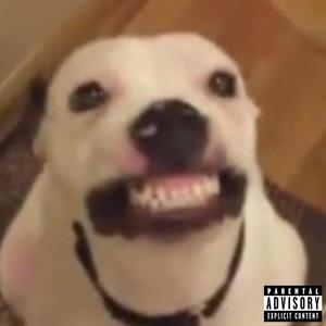 WANNA ROCK (Explicit)