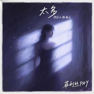 太多 (DJ小拾版伴奏)