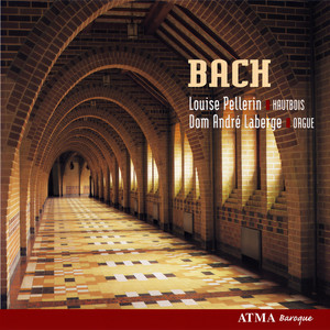 J.S. Bach: Concerto pour hautbois d'amour en la majeur, (d'après BWV 1055) - I. Allegro