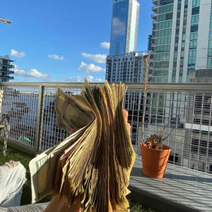 Clientele (Explicit)