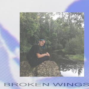 BROKEN WINGS